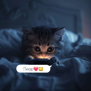 Пиар/чаты и каналы