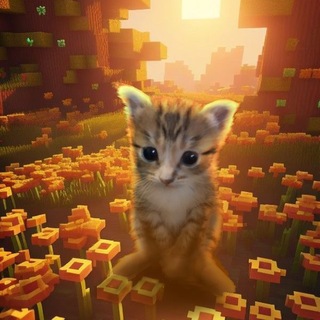 °Пиар каналов/чатов° 👅