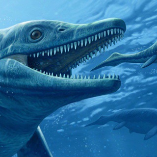 Палеомир Приморья