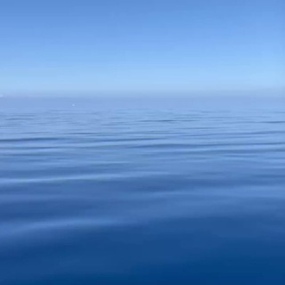 Palladium Venture Foundation