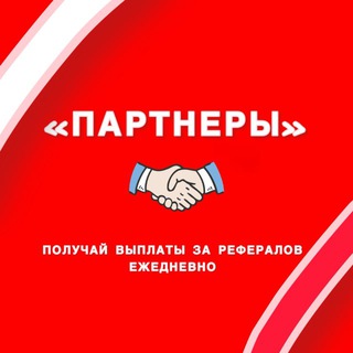 «ПАРТНЕРЫ»