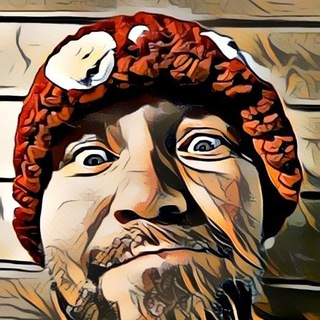 Батька Мухомор о птицах и грибах 🦉🍄