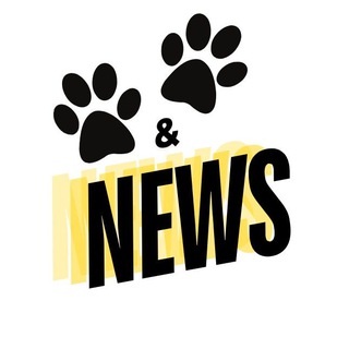 Paws&Play News | Новости и Акции