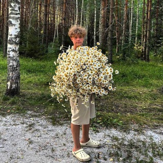 Восхитительные пеларгонии