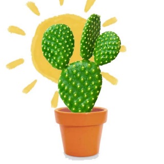 Perfect Plants (канал) (кактусы, сукуленты, растения, неочевидное)