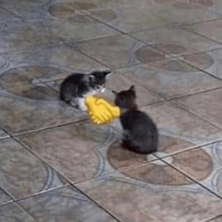 Пикчи для важных переговоров