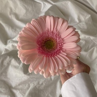 Доставка 🌸 Цветов 🌸Букеты