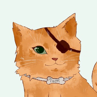 Кот Пират