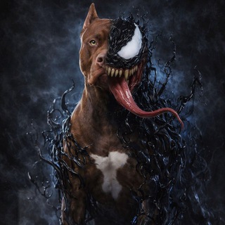 Adrenaline Venom Sparta’s