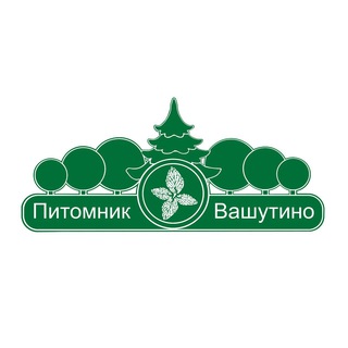 Питомник Вашутино