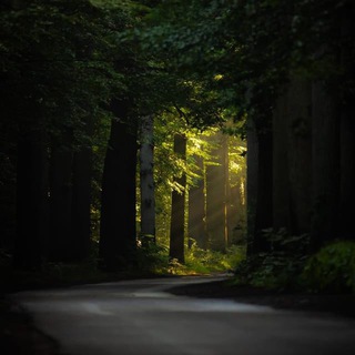 Парки и Скверы 🌳