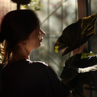 Plant Planted: Жизнь в зелени