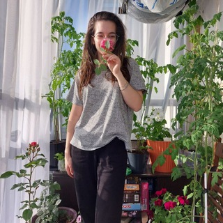 ПлантаВера | Цветы и уют