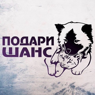 🐾Подари Шанс г. Валуйки🐾