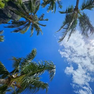 Полетели? ✈️