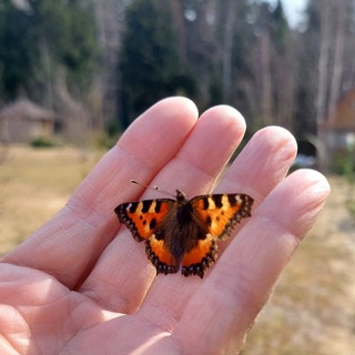 Полезная Поддержка 🖐