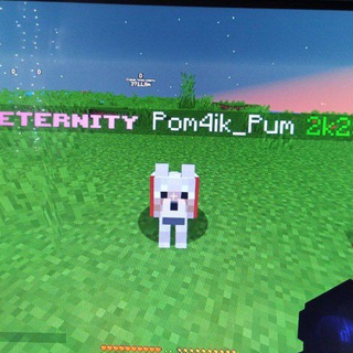 Квартира Pom4ik_Pum