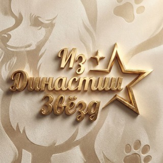 Той Пудель / Мальтипу