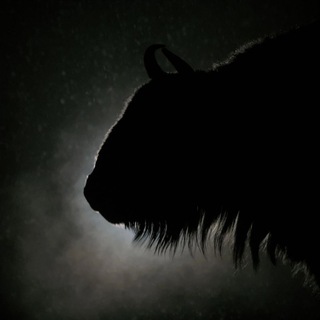 Nature Photo - Potapov N