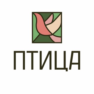 ПТИЦА гончарная и творческая студия