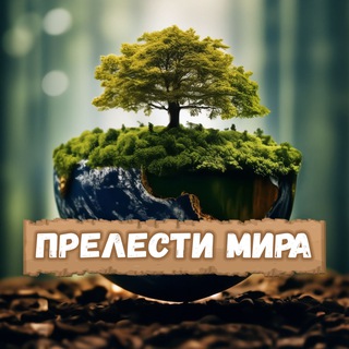 Прелести Мира 🌍