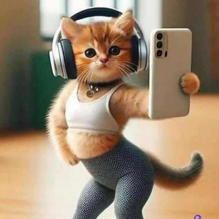 Приколы животных😜