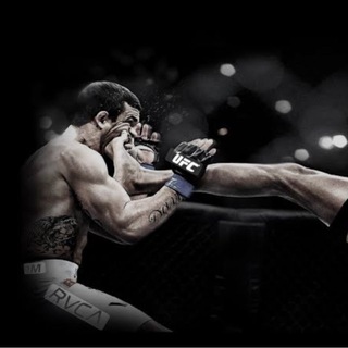 Прогнозы ММА