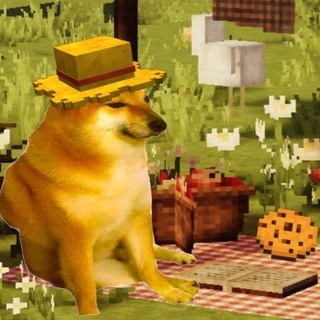 Майнкрафт с Пушлей🫀