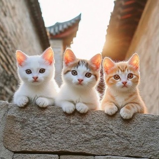 Пушистая радость