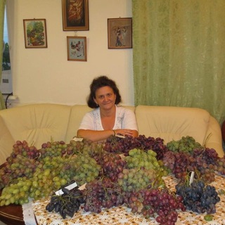 Пузенко Наталья|виноград, агроном