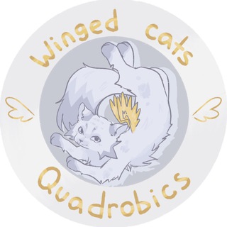 Квадробика хаус «Winged cats»🪽