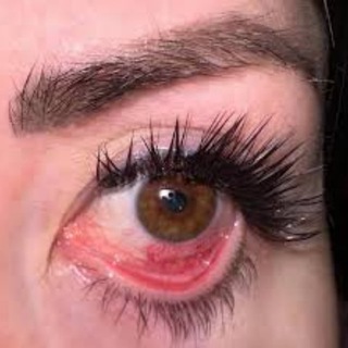 Queenlash отзывы