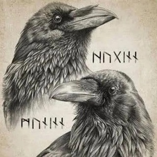 QuizProQuo от Евгения Калюкова