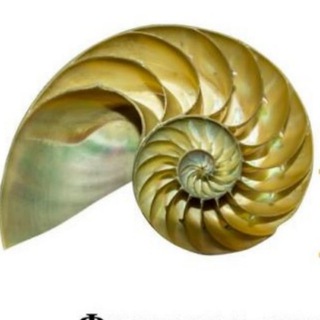 РАкушка. Фестиваль самопознания и духовных практик