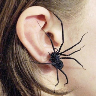 🕷🦻🏿RDKL🧬🦈