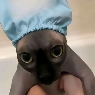 Новый канал - https://t.me/pwuxb