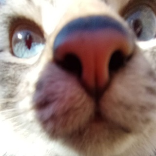 🍁;*𐌲᧐ᥴᥰ᧐ж тимᶻ🍂