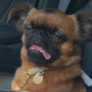 руслан обсуждает