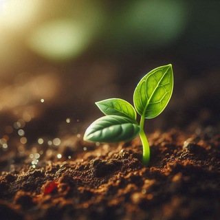 РОСТОК.УЗ 🌱