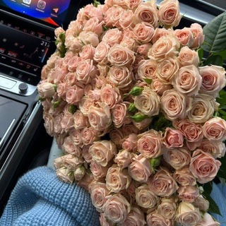 𝒩𝑒𝒿𝓃𝑜 𝑜 𝓁𝓎𝓊𝒷𝓋𝒾