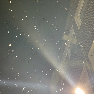 Логово Майка