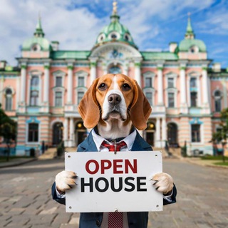 Сириус и команда I Собака Риелтор I Недвижимость СПБ