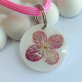 🐕 Адресный декор 🐈