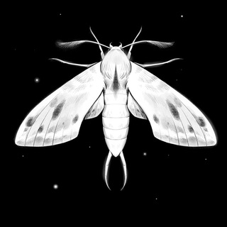 🌙Рыбка Шунья | Резонанс сновидений 18+