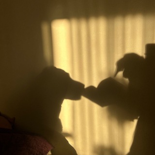 Вероника печатает…