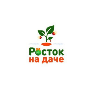 Росток на даче 🌱