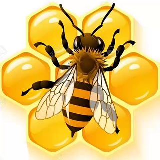 Презентации