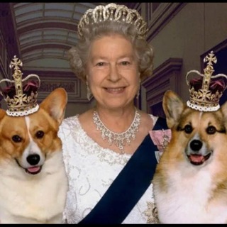 ⚜️Королевский коктейль⚜️