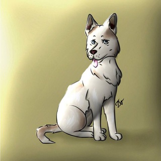 👑 королевство квина 👑