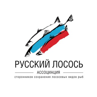 РУССКИЙ ЛОСОСЬ